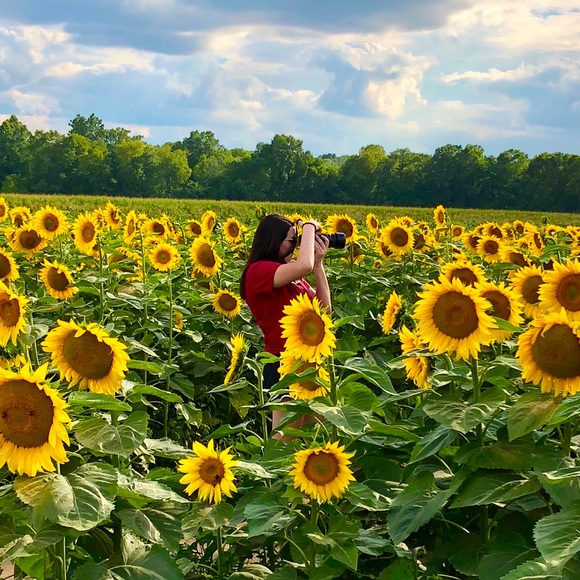 Meet your Posher, Bri - Picture 1 of 1